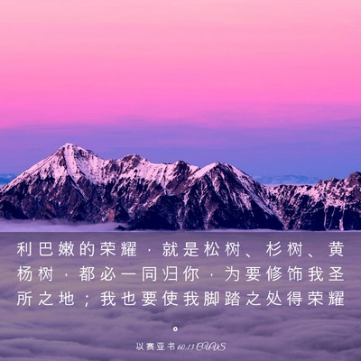 Picture 03 - 以 赛 亚 书 60:13 CUVS - 利 巴 嫩 的 荣 耀 ， 就 是 松 树 、 - Bible Verse Picture