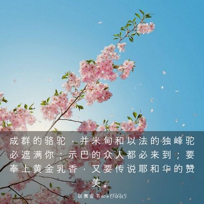 Picture 03 - 以 赛 亚 书 60:6 CUVS - 成 群 的 骆 驼 ， 并 米 甸 和 以 法 - Bible Verse Picture