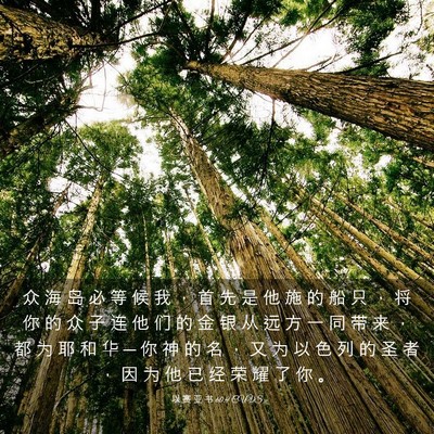 Picture 03 - 以 赛 亚 书 60:9 CUVS - 众 海 岛 必 等 候 我 ， 首 先 是 他 - Bible Verse Picture