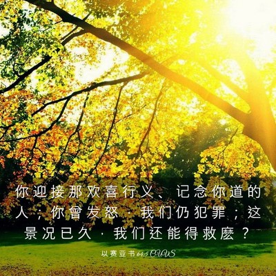 Picture 03 - 以 赛 亚 书 64:5 CUVS - 你 迎 接 那 欢 喜 行 义 、 记 念 你 - Bible Verse Picture