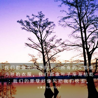 Picture 03 - 以 赛 亚 书 64:6 CUVS - 我 们 都 像 不 洁 净 的 人 ； 所 有 - Bible Verse Picture