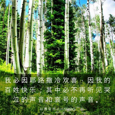 Picture 03 - 以 赛 亚 书 65:19 CUVS - 我 必 因 耶 路 撒 冷 欢 喜 ， 因 我 - Bible Verse Picture
