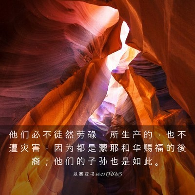 Picture 03 - 以 赛 亚 书 65:23 CUVS - 他 们 必 不 徒 然 劳 碌 ， 所 生 产 - Bible Verse Picture