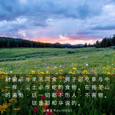 Picture 03 - 以 赛 亚 书 65:25 CUVS - 豺 狼 必 与 羊 羔 同 食 ； 狮 子 必 - Bible Verse Picture