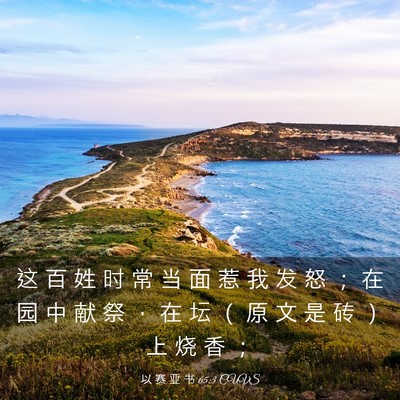 Picture 03 - 以 赛 亚 书 65:3 CUVS - 这 百 姓 时 常 当 面 惹 我 发 怒 ； - Bible Verse Picture