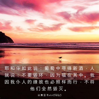 Picture 03 - 以 赛 亚 书 65:8 CUVS - 耶 和 华 如 此 说 ： 葡 萄 中 寻 得 - Bible Verse Picture