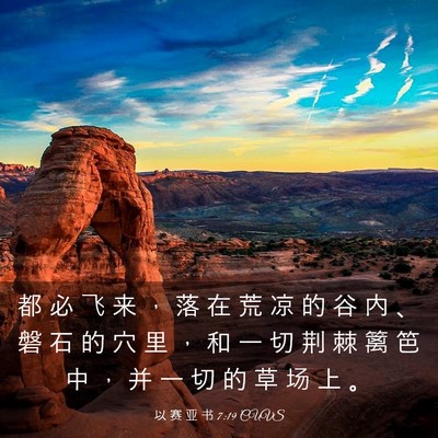 Picture 03 - 以 赛 亚 书 7:19 CUVS - 都 必 飞 来 ， 落 在 荒 凉 的 谷 内 - Bible Verse Picture