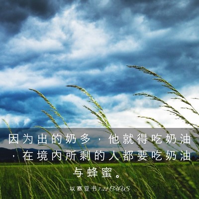 Picture 03 - 以 赛 亚 书 7:22 CUVS - 因 为 出 的 奶 多 ， 他 就 得 吃 奶 - Bible Verse Picture
