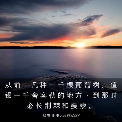 Picture 03 - 以 赛 亚 书 7:23 CUVS - 从 前 ， 凡 种 一 千 棵 葡 萄 树 、 - Bible Verse Picture
