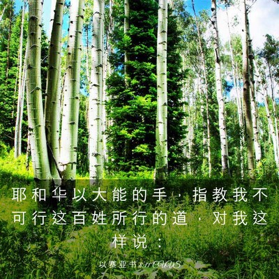 Picture 03 - 以 赛 亚 书 8:11 CUVS - 耶 和 华 以 大 能 的 手 ， 指 教 我 - Bible Verse Picture
