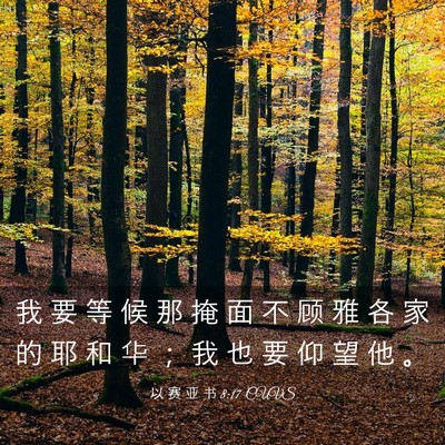 Picture 03 - 以 赛 亚 书 8:17 CUVS - 我 要 等 候 那 掩 面 不 顾 雅 各 家 - Bible Verse Picture