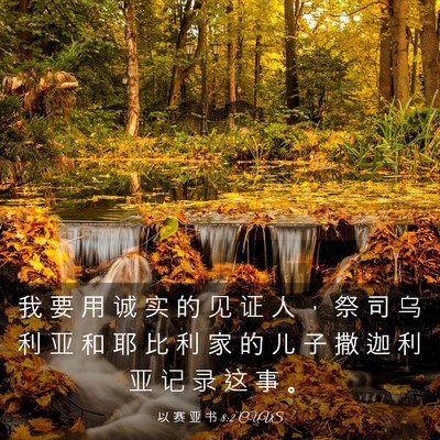Picture 03 - 以 赛 亚 书 8:2 CUVS - 我 要 用 诚 实 的 见 证 人 ， 祭 司 - Bible Verse Picture