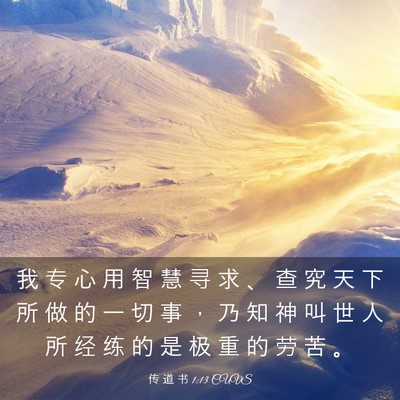 Picture 03 - 传 道 书 1:13 CUVS - 我 专 心 用 智 慧 寻 求 、 查 究 天 - Bible Verse Picture