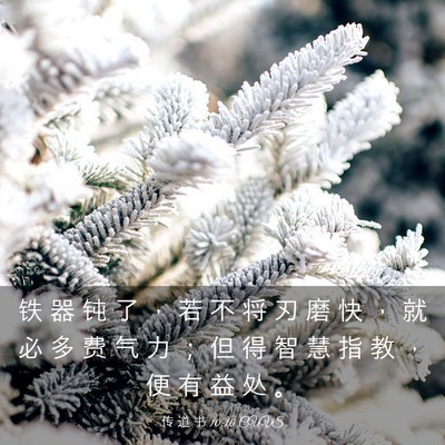 Picture 03 - 传 道 书 10:10 CUVS - 铁 器 钝 了 ， 若 不 将 刃 磨 快 ， - Bible Verse Picture