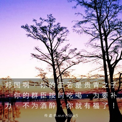 Picture 03 - 传 道 书 10:17 CUVS - 邦 国 啊 ， 你 的 王 若 是 贵 胄 之 - Bible Verse Picture