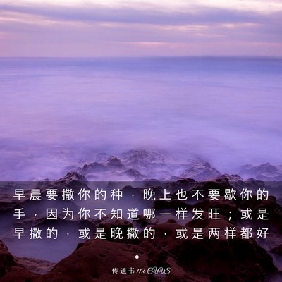 Picture 03 - 传 道 书 11:6 CUVS - 早 晨 要 撒 你 的 种 ， 晚 上 也 不 - Bible Verse Picture