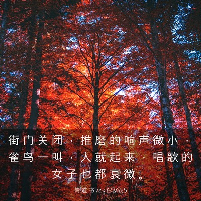 Picture 03 - 传 道 书 12:4 CUVS - 街 门 关 闭 ， 推 磨 的 响 声 微 小 - Bible Verse Picture