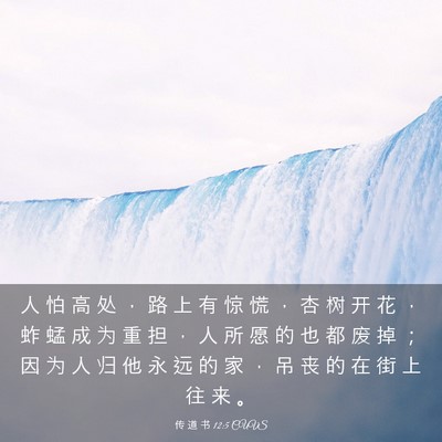 Picture 03 - 传 道 书 12:5 CUVS - 人 怕 高 处 ， 路 上 有 惊 慌 ， 杏 - Bible Verse Picture