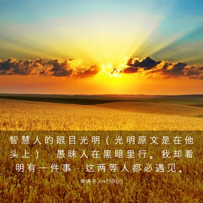 Picture 03 - 传 道 书 2:14 CUVS - 智 慧 人 的 眼 目 光 明 （ 光 明 原 - Bible Verse Picture