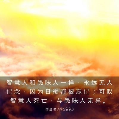 Picture 03 - 传 道 书 2:16 CUVS - 智 慧 人 和 愚 昧 人 一 样 ， 永 远 - Bible Verse Picture