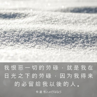 Picture 03 - 传 道 书 2:18 CUVS - 我 恨 恶 一 切 的 劳 碌 ， 就 是 我 - Bible Verse Picture