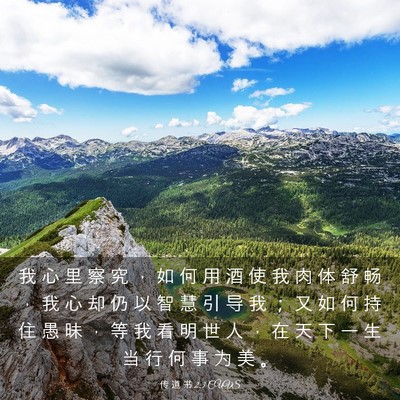 Picture 03 - 传 道 书 2:3 CUVS - 我 心 里 察 究 ， 如 何 用 酒 使 我 - Bible Verse Picture