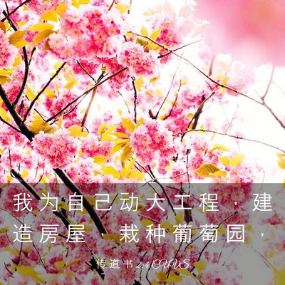 Picture 03 - 传 道 书 2:4 CUVS - 我 为 自 己 动 大 工 程 ， 建 造 房 - Bible Verse Picture