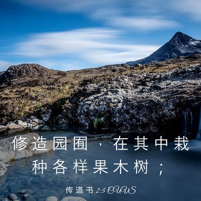 Picture 03 - 传 道 书 2:5 CUVS - 修 造 园 囿 ， 在 其 中 栽 种 各 样 - Bible Verse Picture