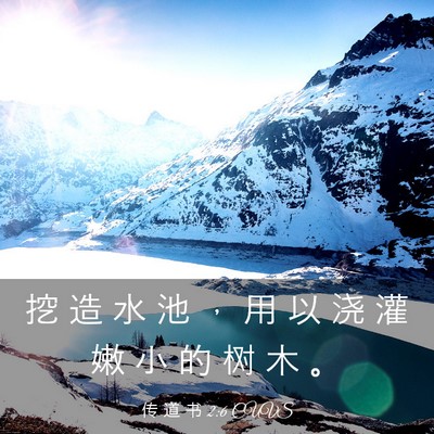 Picture 03 - 传 道 书 2:6 CUVS - 挖 造 水 池 ， 用 以 浇 灌 嫩 小 的 - Bible Verse Picture