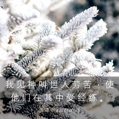 Picture 03 - 传 道 书 3:10 CUVS - 我 见 神 叫 世 人 劳 苦 ， 使 他 们 - Bible Verse Picture
