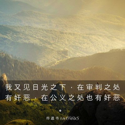 Picture 03 - 传 道 书 3:16 CUVS - 我 又 见 日 光 之 下 ， 在 审 判 之 - Bible Verse Picture