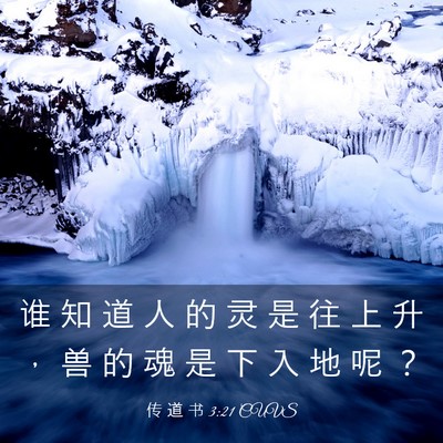 Picture 03 - 传 道 书 3:21 CUVS - 谁 知 道 人 的 灵 是 往 上 升 ， 兽 - Bible Verse Picture
