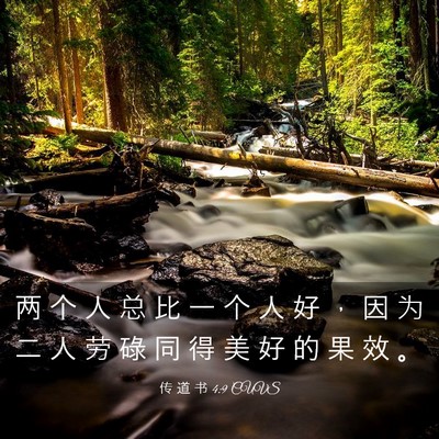Picture 03 - 传 道 书 4:9 CUVS - 两 个 人 总 比 一 个 人 好 ， 因 为 - Bible Verse Picture