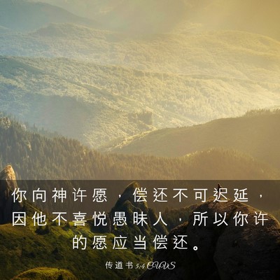 Picture 03 - 传 道 书 5:4 CUVS - 你 向 神 许 愿 ， 偿 还 不 可 迟 延 - Bible Verse Picture
