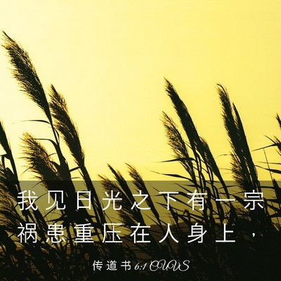 Picture 03 - 传 道 书 6:1 CUVS - 我 见 日 光 之 下 有 一 宗 祸 患 重 - Bible Verse Picture
