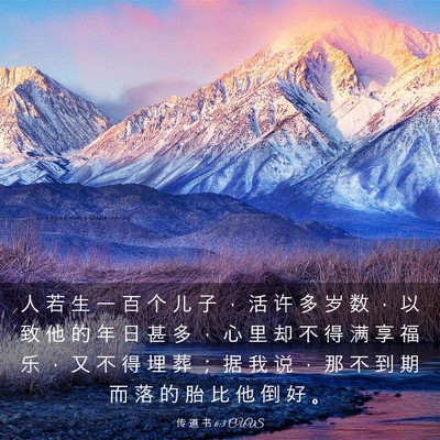 Picture 03 - 传 道 书 6:3 CUVS - 人 若 生 一 百 个 儿 子 ， 活 许 多 - Bible Verse Picture