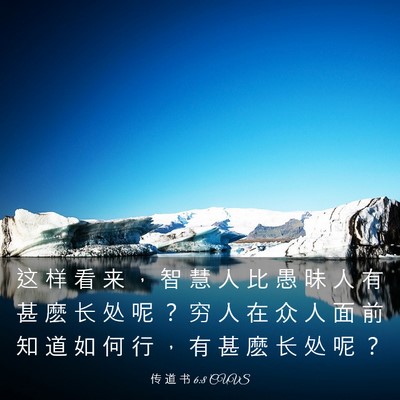 Picture 03 - 传 道 书 6:8 CUVS - 这 样 看 来 ， 智 慧 人 比 愚 昧 人 - Bible Verse Picture