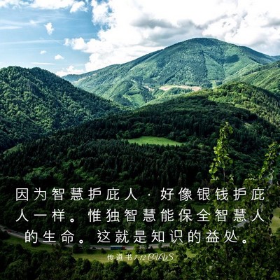 Picture 03 - 传 道 书 7:12 CUVS - 因 为 智 慧 护 庇 人 ， 好 像 银 钱 - Bible Verse Picture