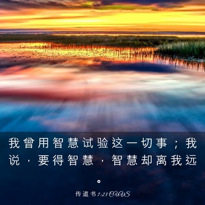 Picture 03 - 传 道 书 7:23 CUVS - 我 曾 用 智 慧 试 验 这 一 切 事 ； - Bible Verse Picture