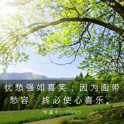 Picture 03 - 传 道 书 7:3 CUVS - 忧 愁 强 如 喜 笑 ； 因 为 面 带 愁 - Bible Verse Picture