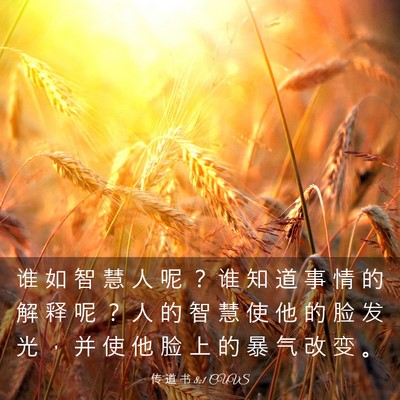 Picture 03 - 传 道 书 8:1 CUVS - 谁 如 智 慧 人 呢 ？ 谁 知 道 事 情 - Bible Verse Picture