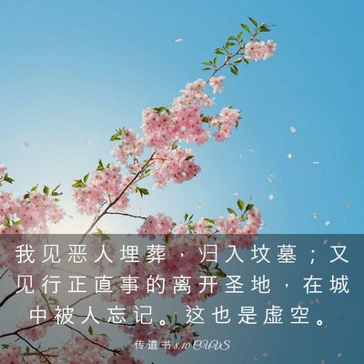 Picture 03 - 传 道 书 8:10 CUVS - 我 见 恶 人 埋 葬 ， 归 入 坟 墓 ； - Bible Verse Picture