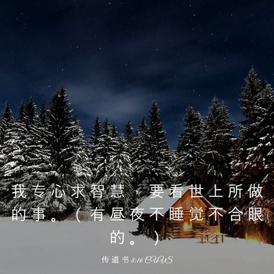 Picture 03 - 传 道 书 8:16 CUVS - 我 专 心 求 智 慧 ， 要 看 世 上 所 - Bible Verse Picture