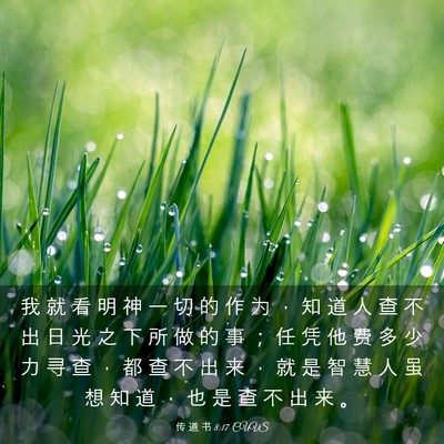 Picture 03 - 传 道 书 8:17 CUVS - 我 就 看 明 神 一 切 的 作 为 ， 知 - Bible Verse Picture