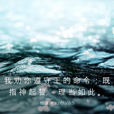 Picture 03 - 传 道 书 8:2 CUVS - 我 劝 你 遵 守 王 的 命 令 ； 既 指 - Bible Verse Picture