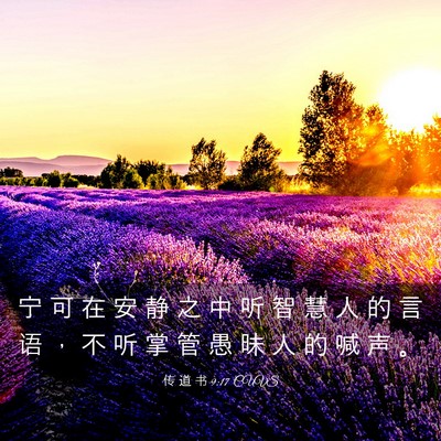 Picture 03 - 传 道 书 9:17 CUVS - 宁 可 在 安 静 之 中 听 智 慧 人 的 - Bible Verse Picture