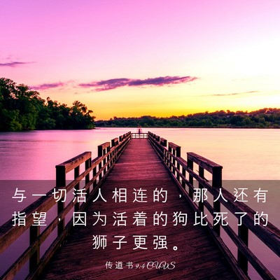Picture 03 - 传 道 书 9:4 CUVS - 与 一 切 活 人 相 连 的 ， 那 人 还 - Bible Verse Picture