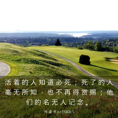 Picture 03 - 传 道 书 9:5 CUVS - 活 着 的 人 知 道 必 死 ； 死 了 的 - Bible Verse Picture