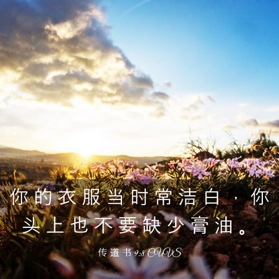 Picture 03 - 传 道 书 9:8 CUVS - 你 的 衣 服 当 时 常 洁 白 ， 你 头 - Bible Verse Picture