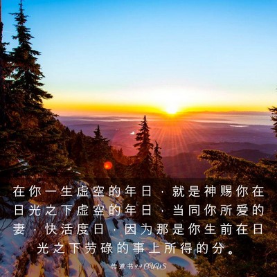 Picture 03 - 传 道 书 9:9 CUVS - 在 你 一 生 虚 空 的 年 日 ， 就 是 - Bible Verse Picture